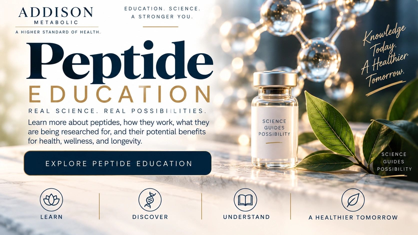 What is a peptide — infographic explaining peptide science